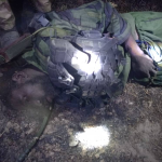 Troops foil terrorist attack on Bitta village in Borno