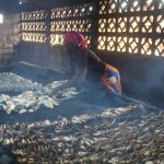 Nigeria targets 2m metric tonnes local fish production in 2026/27