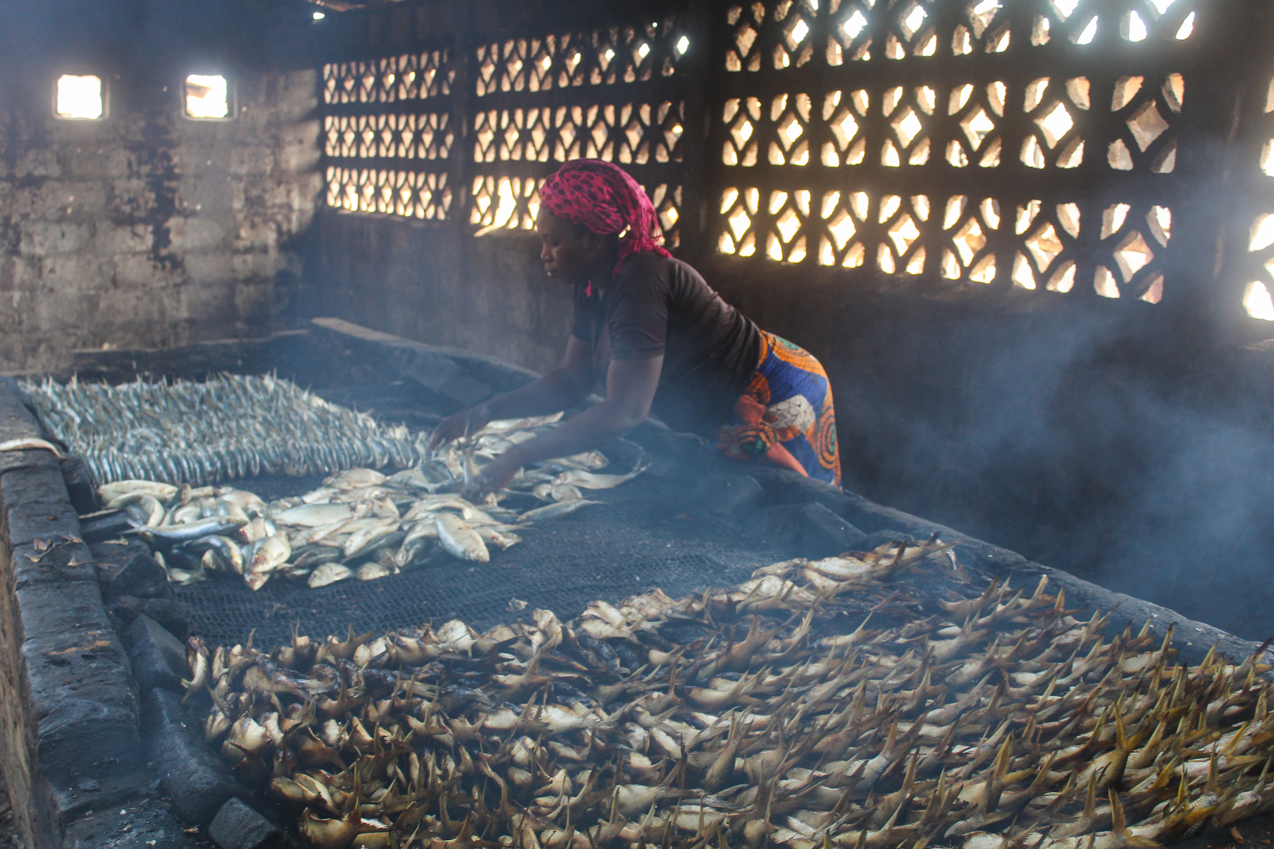 Nigeria targets 2m metric tonnes local fish production in 2026/27