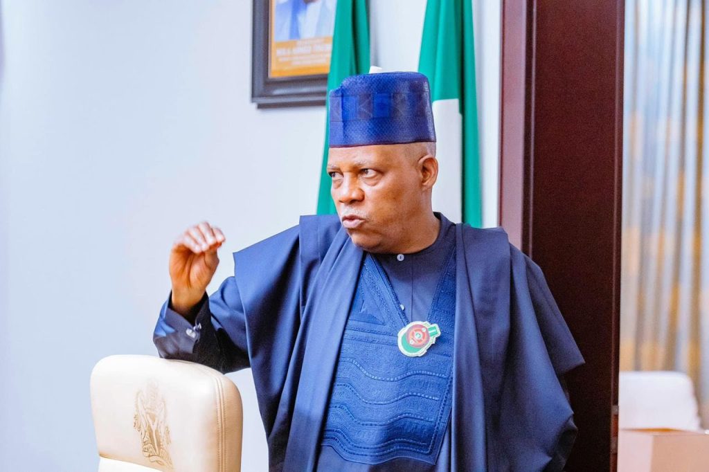 Vice President Kashim Shettima