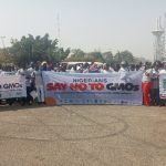 GMOs: Coalition urges FG to ban products, enforce Reps’ 2024 resolution