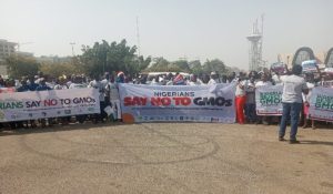 GMOs: Coalition urges FG to ban products, enforce Reps’ 2024 resolution