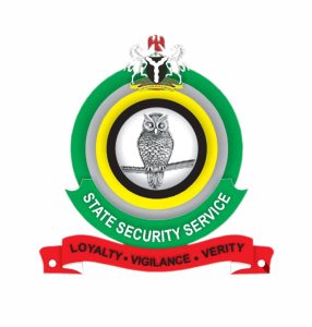 DSS logo