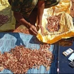 Plateau: Army raids criminal hideout, recovers arms