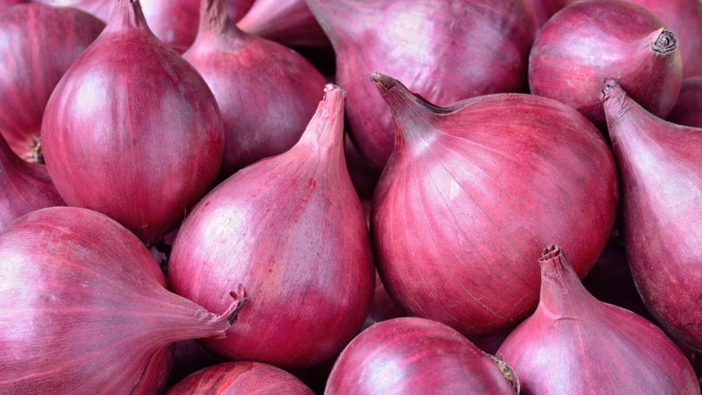 Onions