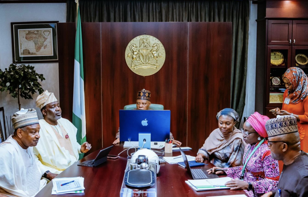 NEC chaired by Vice President Kashim Shettima