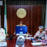 NEC chaired by Vice President Kashim Shettima