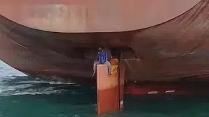 Sea