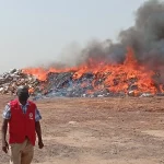 NAFDAC burns ₦10.19bn fake drugs and food items in Kano