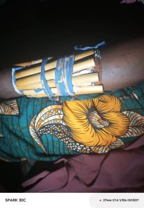 Breaking the cycle of violence: A new approach to curbing SGBV in Benue