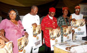 Ex-Rep Onuigbo urges Tinubu to create sixth south-east state