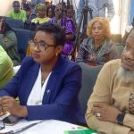 Journalism under threat in Nigeria, media experts warn