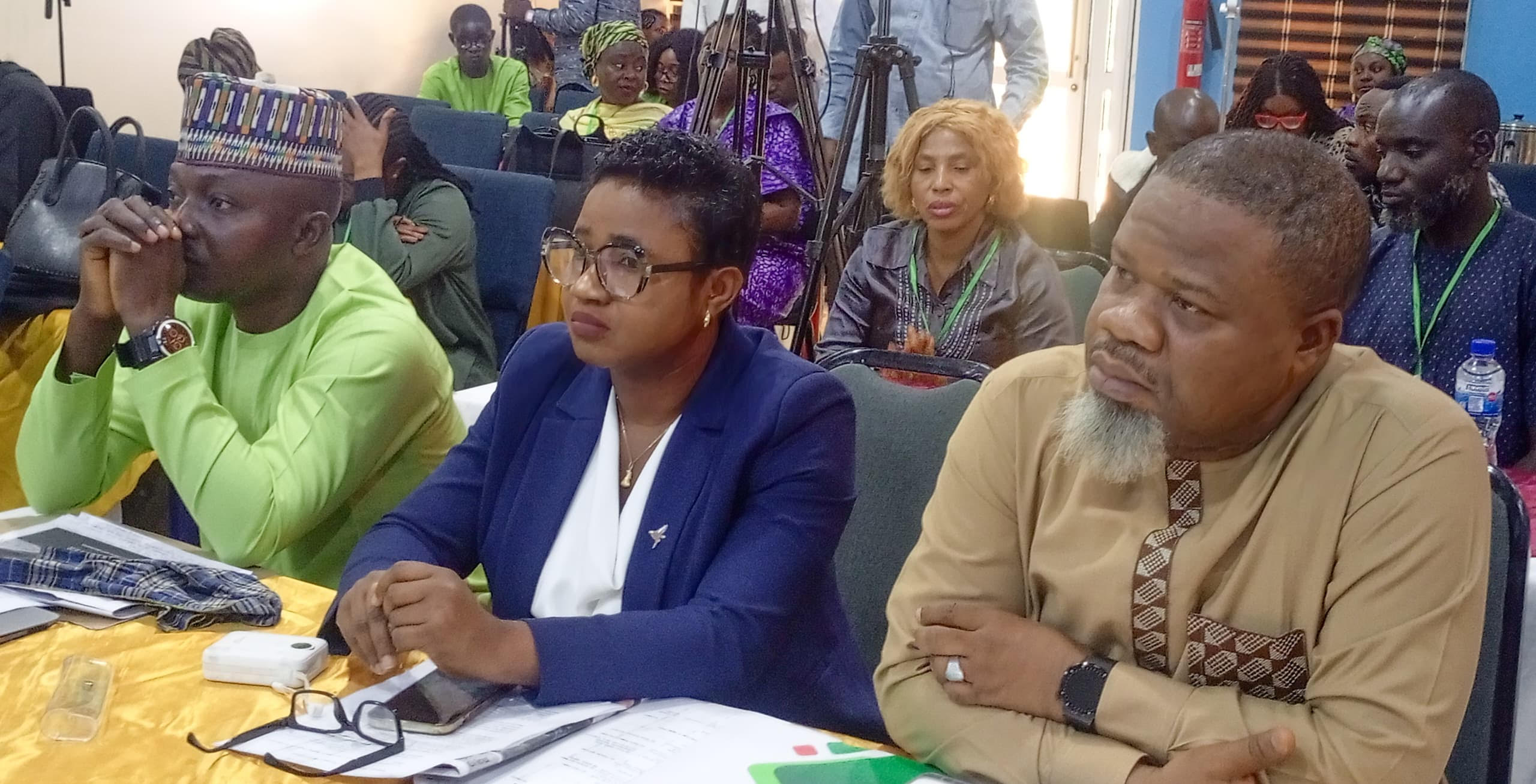 Journalism under threat in Nigeria, media experts warn