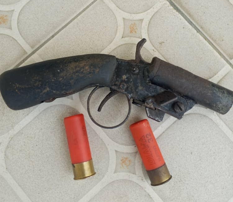 Gun and cartridges