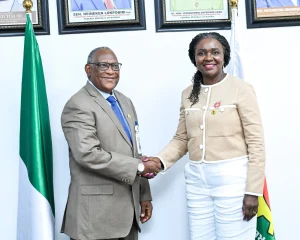 L-R: The Nigerian Midstream and Downstream Petroleum Regulatory Authority Chief Executive, Saidu Aliyu Mohammed, in a handshake with the Commission Chief Executive of the Nigerian Upstream Petroleum Regulatory Commission, Oritsemeyiwa Eyesan, after the meeting on Thursday in Abuja. Credit: NUPRC