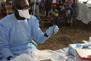 Lassa fever kills 206 Nigerians in 2025 as death rate rises