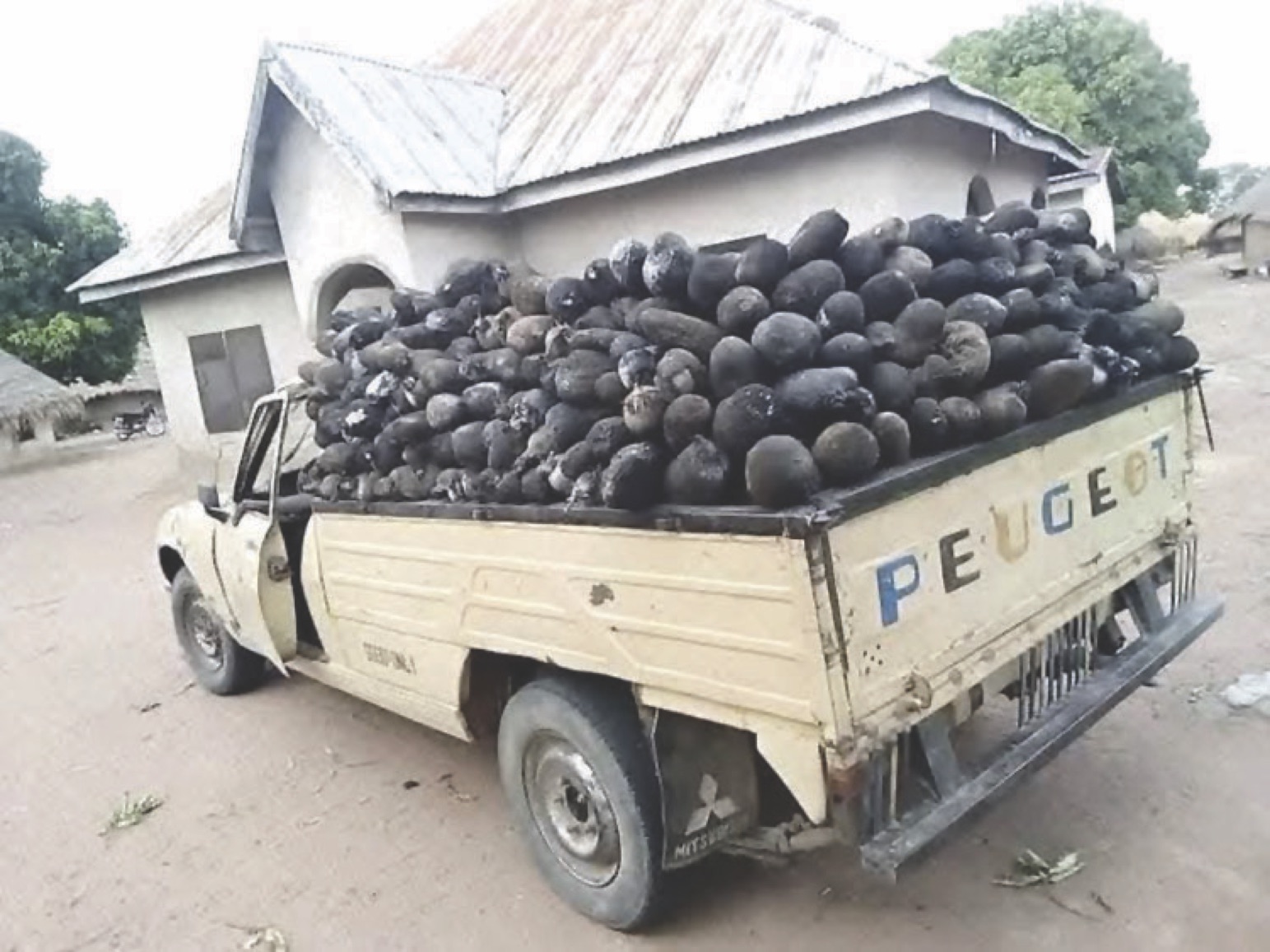 Burnt yam tubers