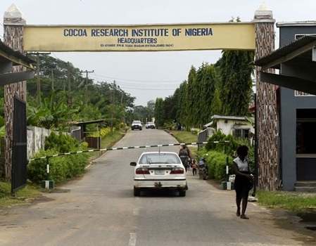 Cocoa Research Institute earmarks N2bn for construction of palace, mosque, lock up shops