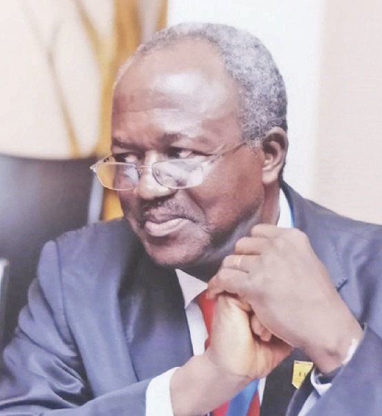 Ex-NIPSS rapporteur, Akhimien to Tinubu, FEC: Designate local drug production as national strategic economic security industry