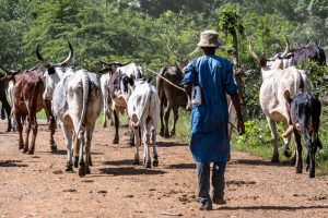 Fulani_Togo-1024×683