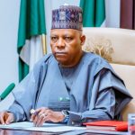 Vice President Kashim Shettima