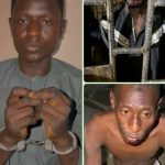 Police arrest three over murder of Kano mother and six children
