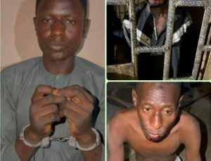 Police arrest three over murder of Kano mother and six children