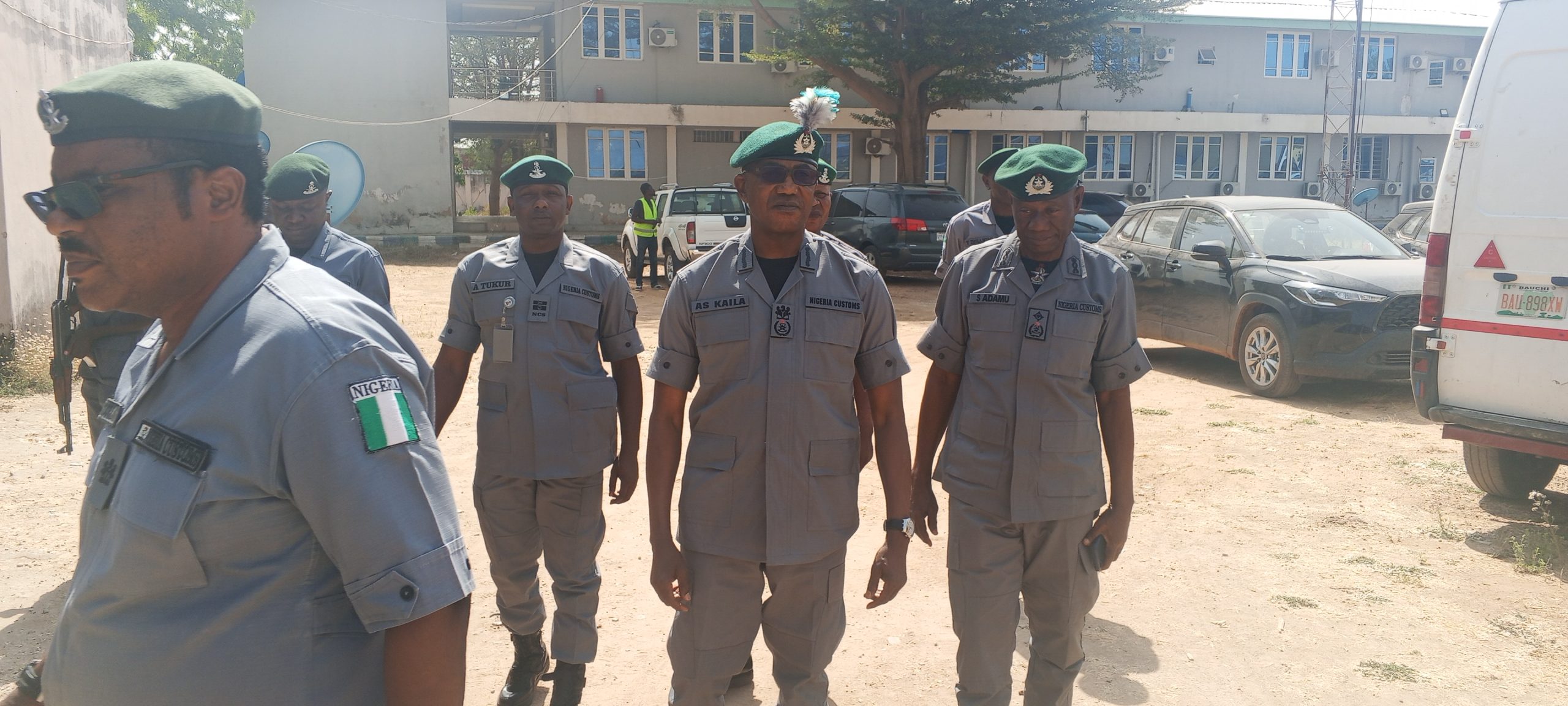 Customs seize donkey skins, fried meat worth ₦229m in North-East