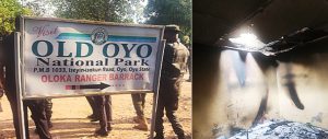 Oyo-attack