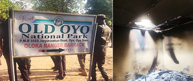 Oyo-attack