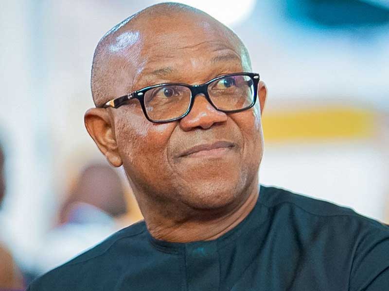 Nigeria not short of talent — Peter Obi