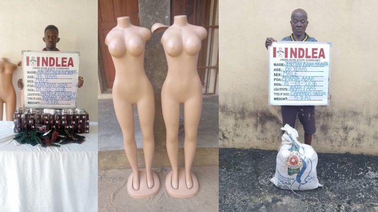 NDLEA re-arrests 80-year-old ex-convict, uncovers drugs in mannequins