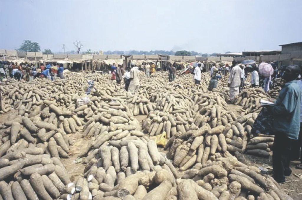 •Kaduna yam market