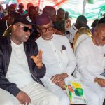 Political alignment, grassroots mobilisation key to development — Nwosu