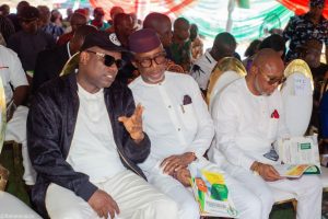 Political alignment, grassroots mobilisation key to development — Nwosu