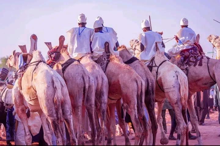Argungu fishing festival an opportunity to showcase Kebbi agricultural potential — Commissioner