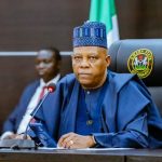 Vice President Kashim Shettima