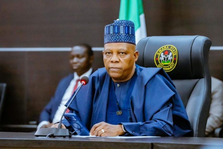 Vice President Kashim Shettima