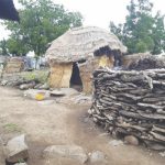 A typical dwelling in the traditional setting of the Biu Emirate