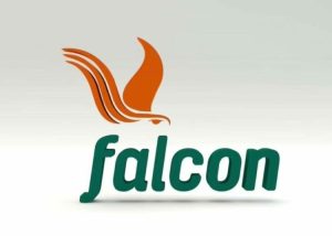 Falcon-Corporation-Limited-750×536