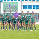 Falconets