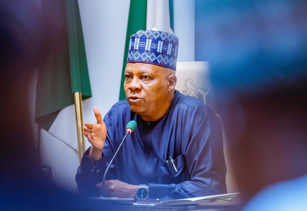 Vice President Kashim Shettima