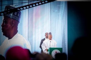 Vice President Kashim Shettima