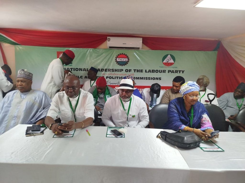 Why the LP lost the 2023 presidential election – Sen Usman