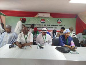 Why the LP lost the 2023 presidential election – Sen Usman