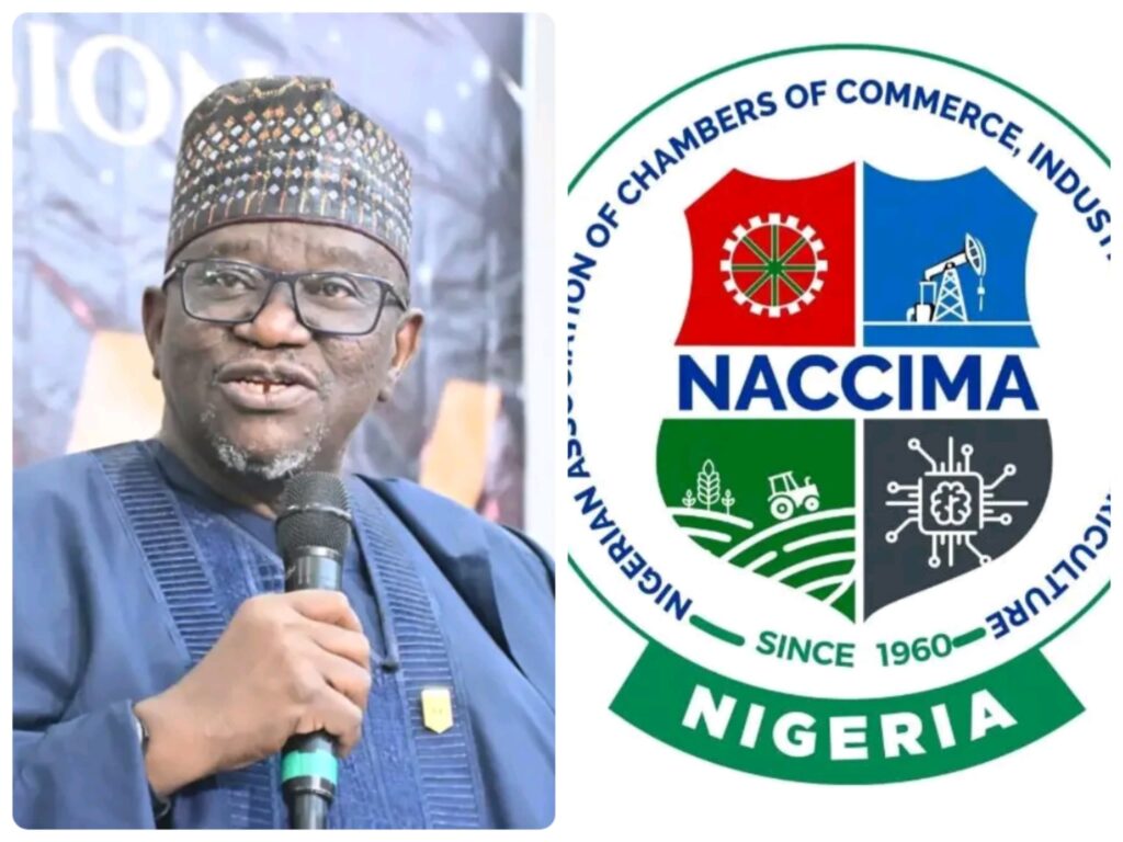 Samiya border reopening signals fresh trade momentum –NACCIMA Feb 12, 2026