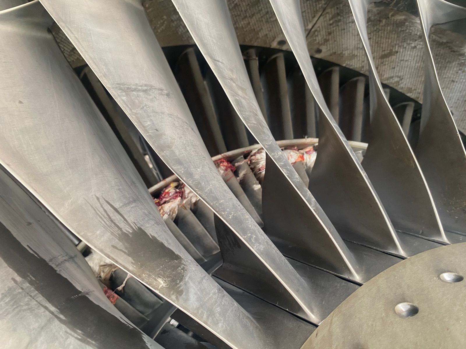 IMG-20260216-WA0005