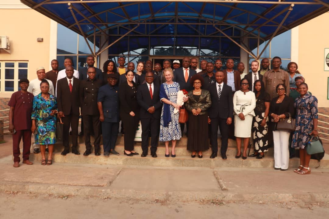 UNN, Sweden strengthen collaboration