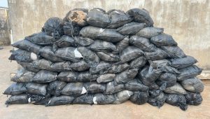 NDLEA-intercepts-64-suspected-bags-of-cannabis-2048×1163