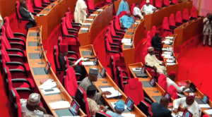 Nigerian-Senate-1045×579